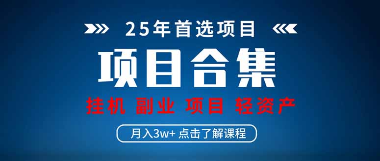 （14174期）2025 实操项目合集 挂机类型 直播类型 轻资产创业类型 课程分享各项目…